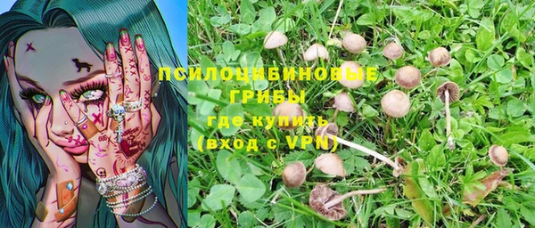 ECSTASY Армянск