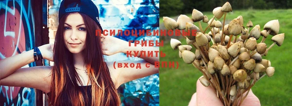гашиш Аркадак