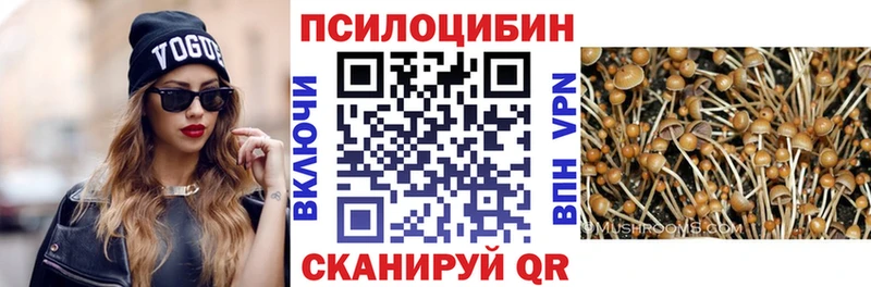 Псилоцибиновые грибы мицелий  Опочка 